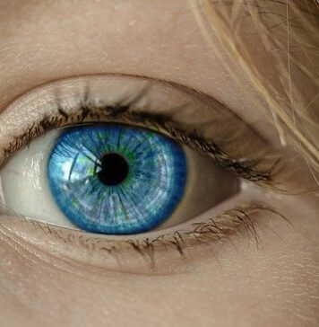 vrouwenoog blauw