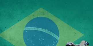 Kikker op Braziliaanse grasmat